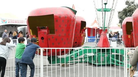 Strawberry Ride Stock Footage 90835417