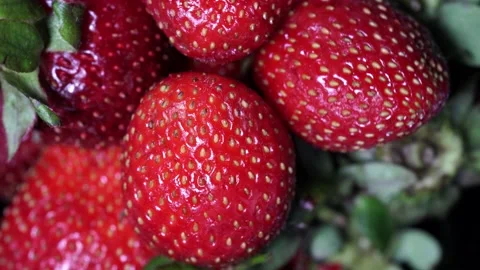 Strawberry rotating 360 degree Stock Footage 130932084