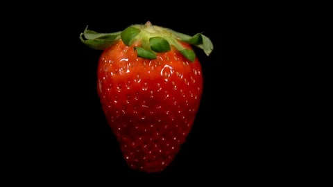 Strawberry Rotating 库存影片 123920093
