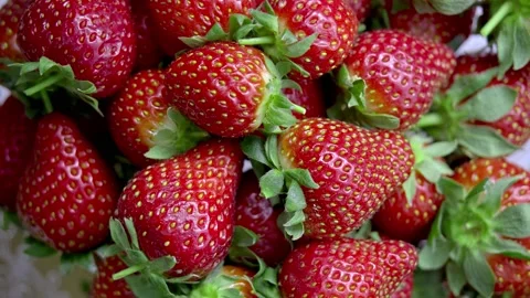 Strawberry Rotating. Stock Footage 219650289