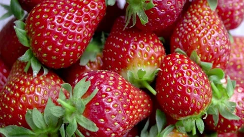 Strawberry Rotating. Stock Footage 219650323