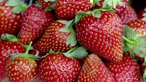 Strawberry Rotating. Stock Footage 219650394