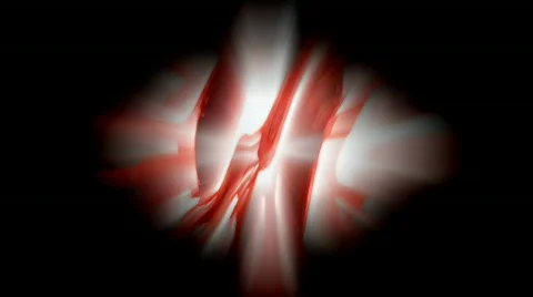 Strawberry rotation Video stock 282500