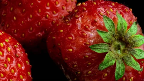 Strawberry rots on a black background, time lapse, macro photography Stock Footage 142633317