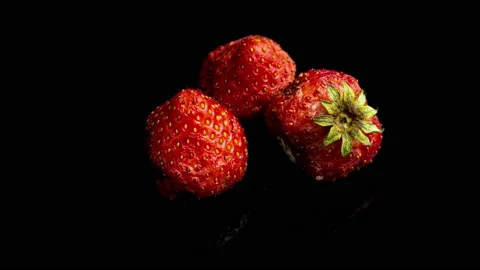 Strawberry rots on a black background, time lapse, macro photography Stock Footage 163340855
