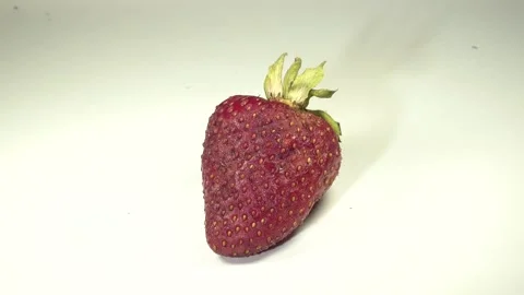 Strawberry rots on a white background, time lapse Stock Footage 157693816