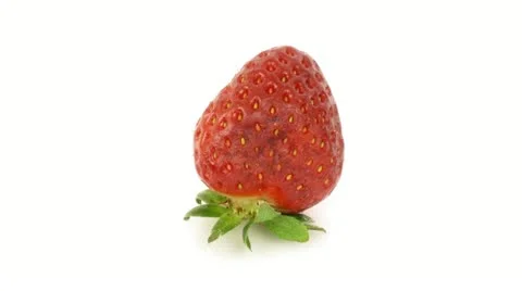 Strawberry rotting Video stock 21879190