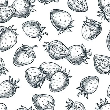 Strawberry seamless pattern. Berries sketch vector illustration. Hand drawn b Stock Illustration