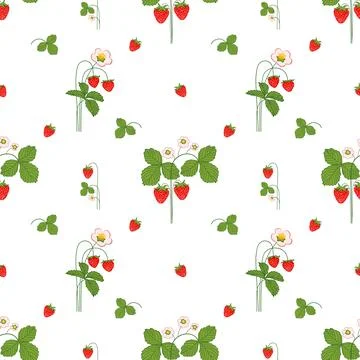 Strawberry seamless pattern with bushes berries and flowers Illustrazione stock