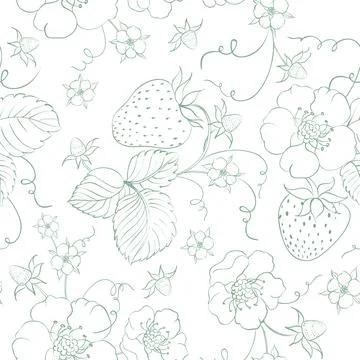 Strawberry seamless pattern. Vector botanic. 스톡 일러스트