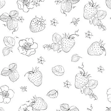 Strawberry seamless pattern. Vector botanic. 스톡 일러스트