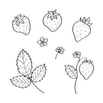 Strawberry sketch icons set. Vector illustration of cartoon strawberry berr.. Stock Illustration