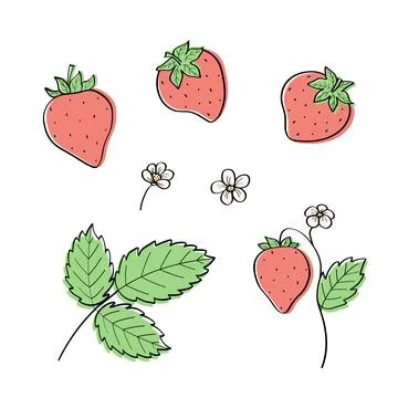 Strawberry sketch icons set. Vector illustration of cartoon strawberry berrie Stock Illustration