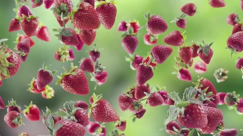 Strawberry with Slices Falling on Kitchen Background. Stock Footage 166892197