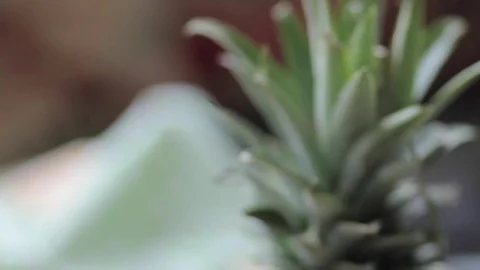 Strawberry smoothies are on the table Stock Footage 73669668