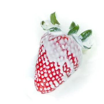 Strawberry splashing into milk Stock Photos