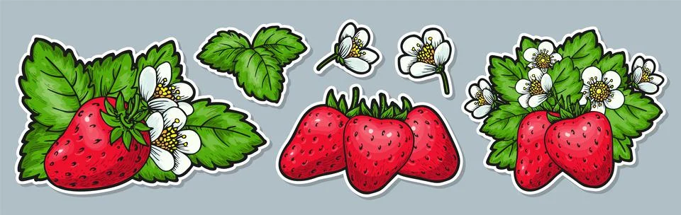 Strawberry sticker pin patch red eco tag cut label Stock Illustration
