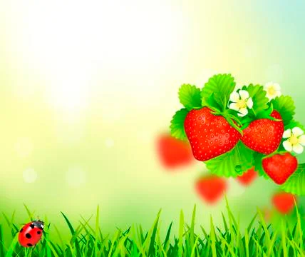 Strawberry, summer background Stock Illustration