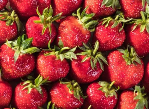 Strawberry texture closeup Stock Photos