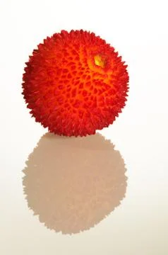 Strawberry tree fruit and reflection Stock-Fotos