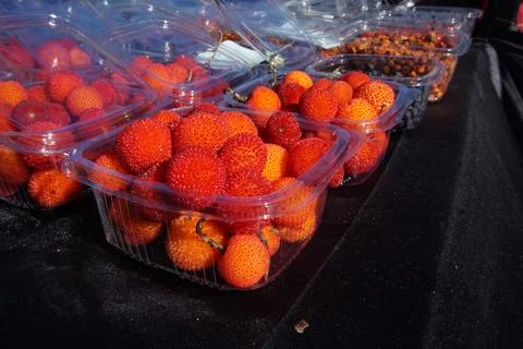 Strawberry tree fruit in plastic containers for sale in Green Fest. Stock Photos