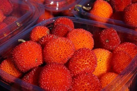 Strawberry tree fruit in plastic containers for sale in Green Fest. Stock-Fotos