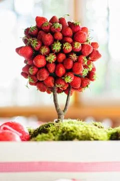 Strawberry tree Stock Photos