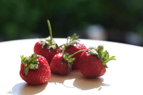 Strawberry Under Sun Stock Photos