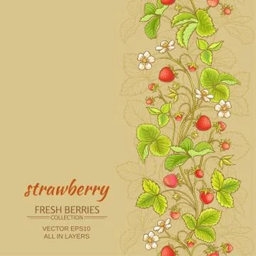 Strawberry vector background Illustrazione stock
