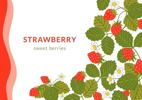 Strawberry vector banner background illustration Stock Illustration