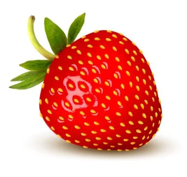 Strawberry. vector. Illustrazione stock