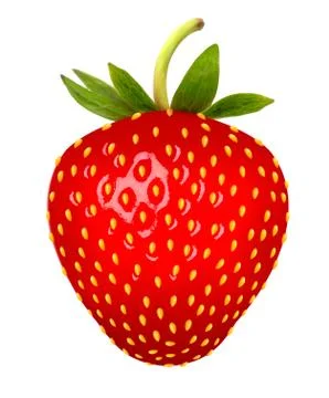 Strawberry. vector. Stock Illustration