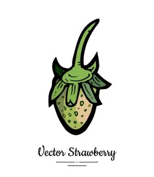 Strawberry vector isolated. Green berry hand drawn illustration. Trendy food  Stock Illustration
