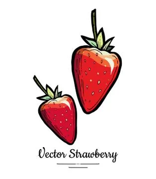 Strawberry vector isolated. Red berries hand drawn illustration. Trendy food  Stock Illustration