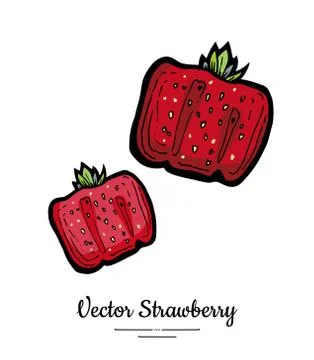 Strawberry vector isolated. Red berries hand drawn illustration. Trendy food  Stock Illustration