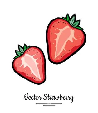 Strawberry vector isolated. Red berries hand drawn illustration. Trendy food  Stock Illustration