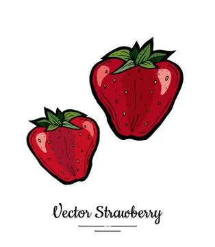 Strawberry vector isolated. Red berries hand drawn illustration. Trendy food  Stock Illustration