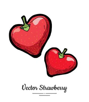 Strawberry vector isolated. Red berries hand drawn illustration. Trendy food  Stock Illustration