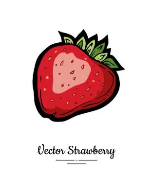 Strawberry vector isolated. Red berry hand drawn illustration. Trendy food ve Stock Illustration