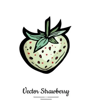 Strawberry vector isolated. White berry hand drawn illustration Trendy food v Stock Illustration