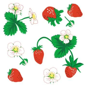 Strawberry vector pattern background Stock Illustration
