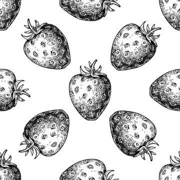 Strawberry vector seamless pattern drawing. Isolated hand drawn Stock Illustration