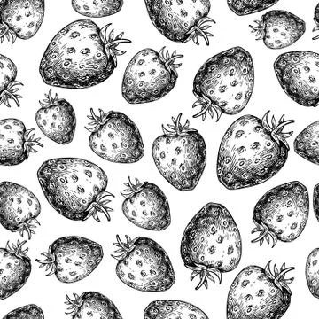 Strawberry vector seamless pattern drawing. Isolated hand drawn Stock Illustration