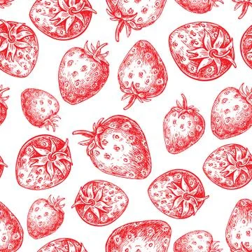Strawberry vector seamless pattern drawing. Isolated hand drawn Stock Illustration