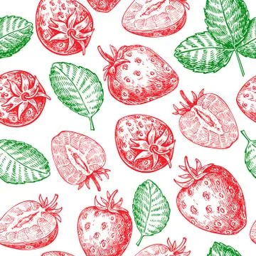 Strawberry vector seamless pattern drawing. Isolated hand drawn Stock Illustration