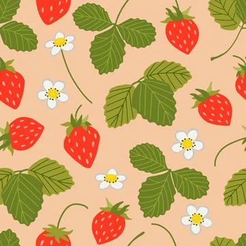 Strawberry vector seamless pattern. Sweet red berries, white flowers, leaves Stock Illustration