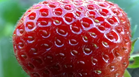 Strawberry  very close up - 01 動画素材 39380832