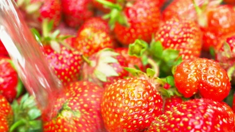 Strawberry is washed with stream of water Stock Footage 92850866