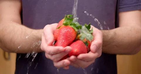 Strawberry washing 動画素材 104564241
