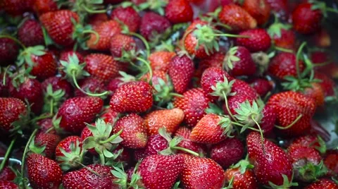 Strawberry in water 스톡 동영상 64016271